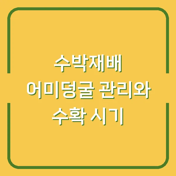 수박재배 어미덩굴 관리와 수확 시기