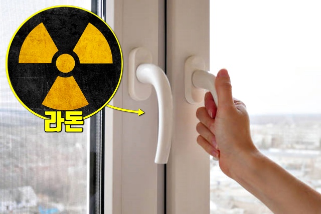 여성 폐암 원인 실내 라돈 수치 4 폐암 말기, 건강 팁줌 매일꿀정보