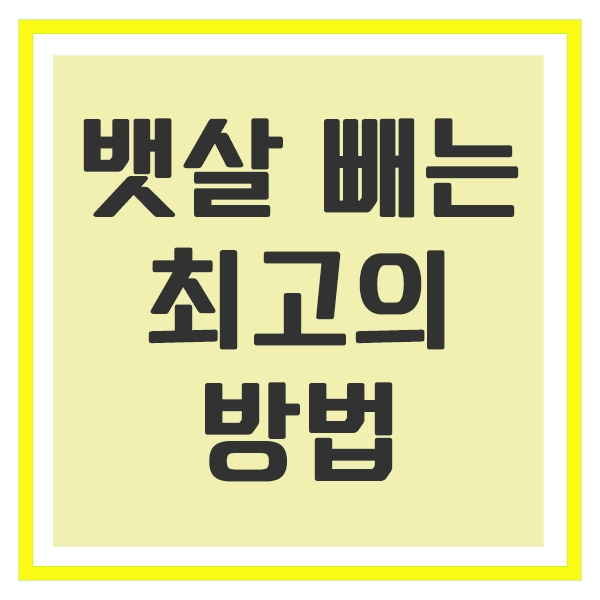 뱃살 빼는 최고의 방법