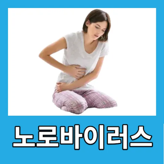겨울 봄철 노로바이러스장염 증상 자가진단 예방 치료방법 잠복기