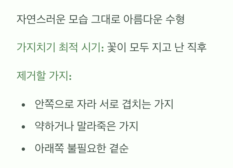 4. 멋진 수형을 위한 최소한의 손길, 가지치기