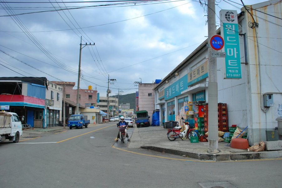 고성군 회화면 배둔리 마을 풍경