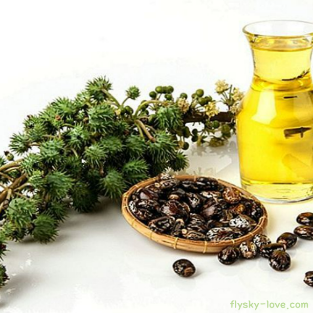 아주까리 기름, 피마자오일