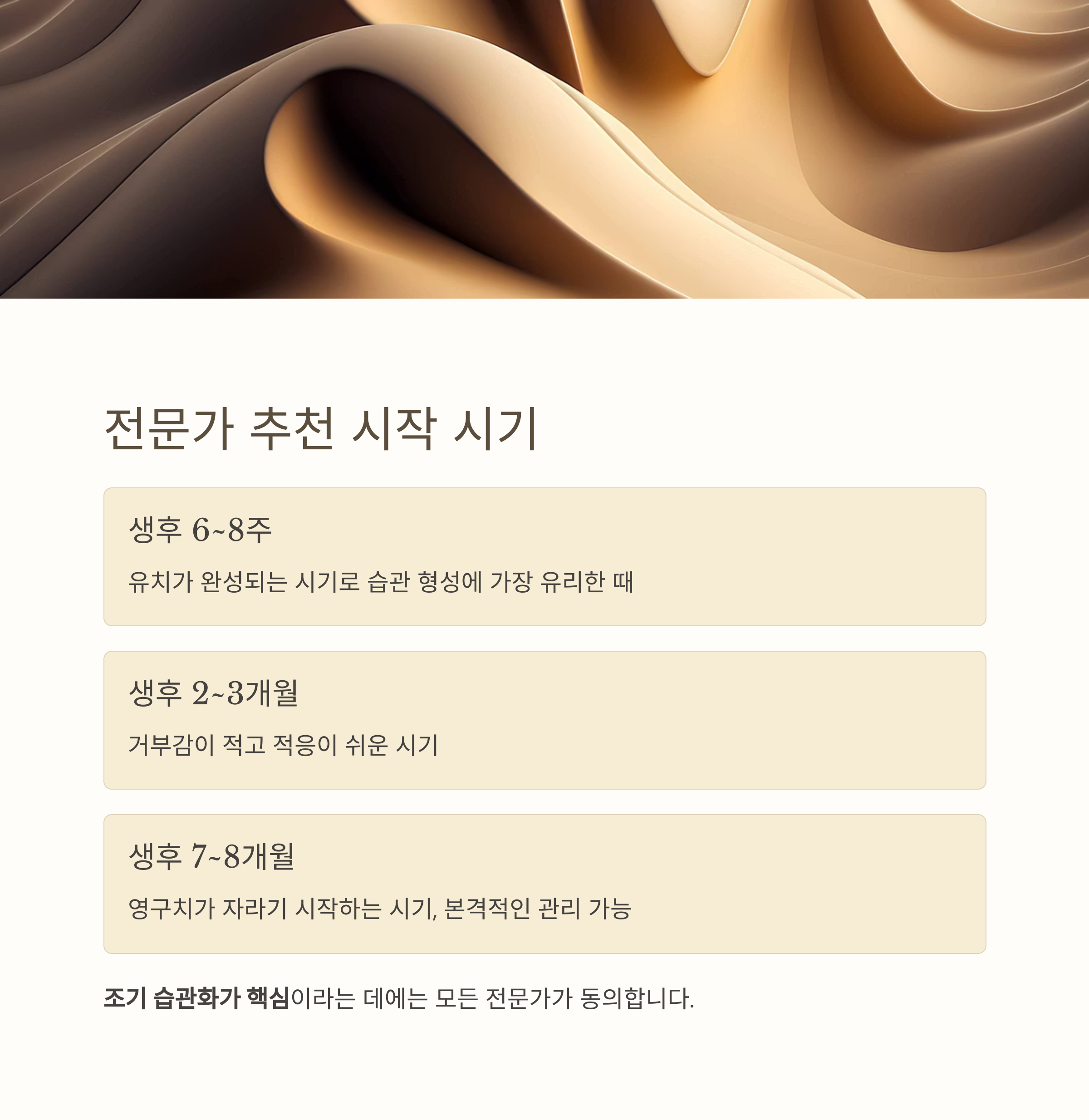 전문가 추천 시작 시기