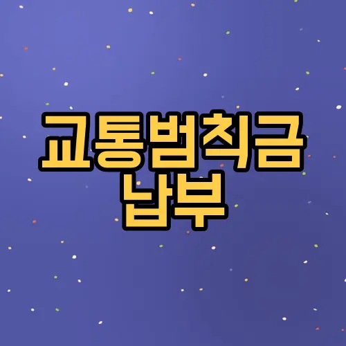 교통범칙금 납부