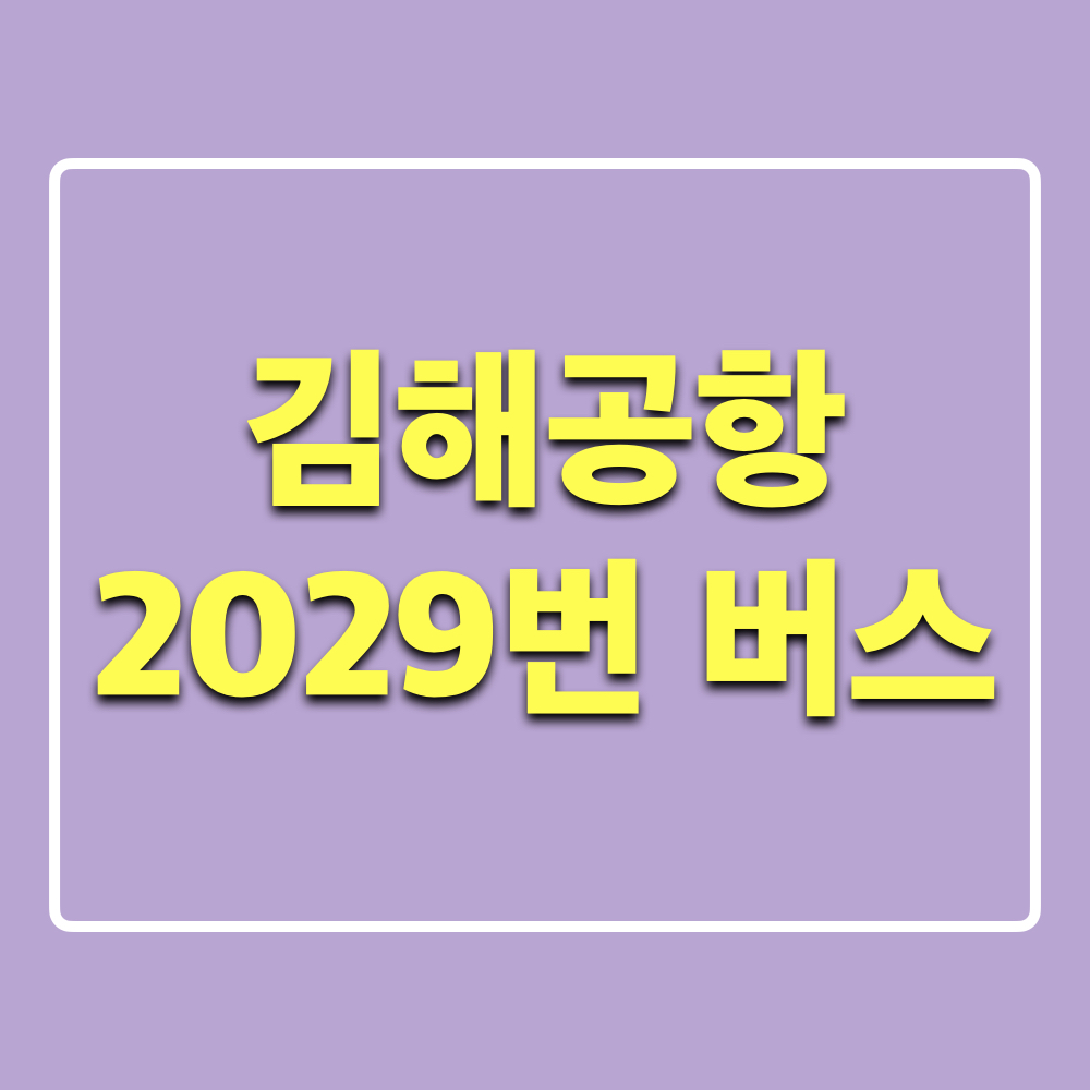 부산2029번버스