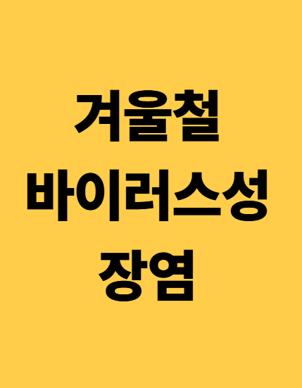 겨울 바이러스성 장염