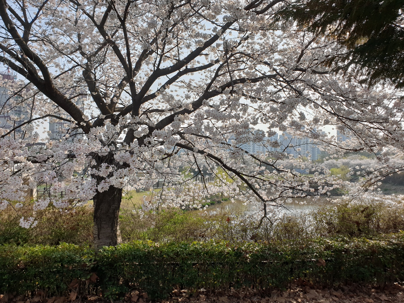 쌍암공원
