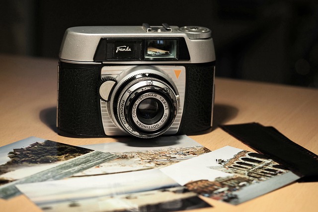 아날로그 카메라로 한 달 사진 기록기