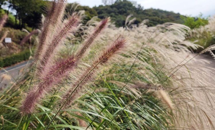 파주 율곡수목원