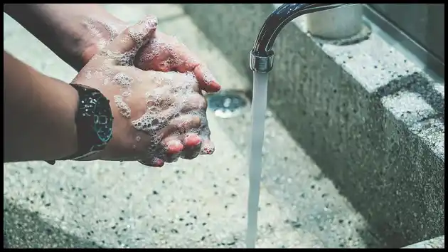 백일해 예방접종 가격 및 시기