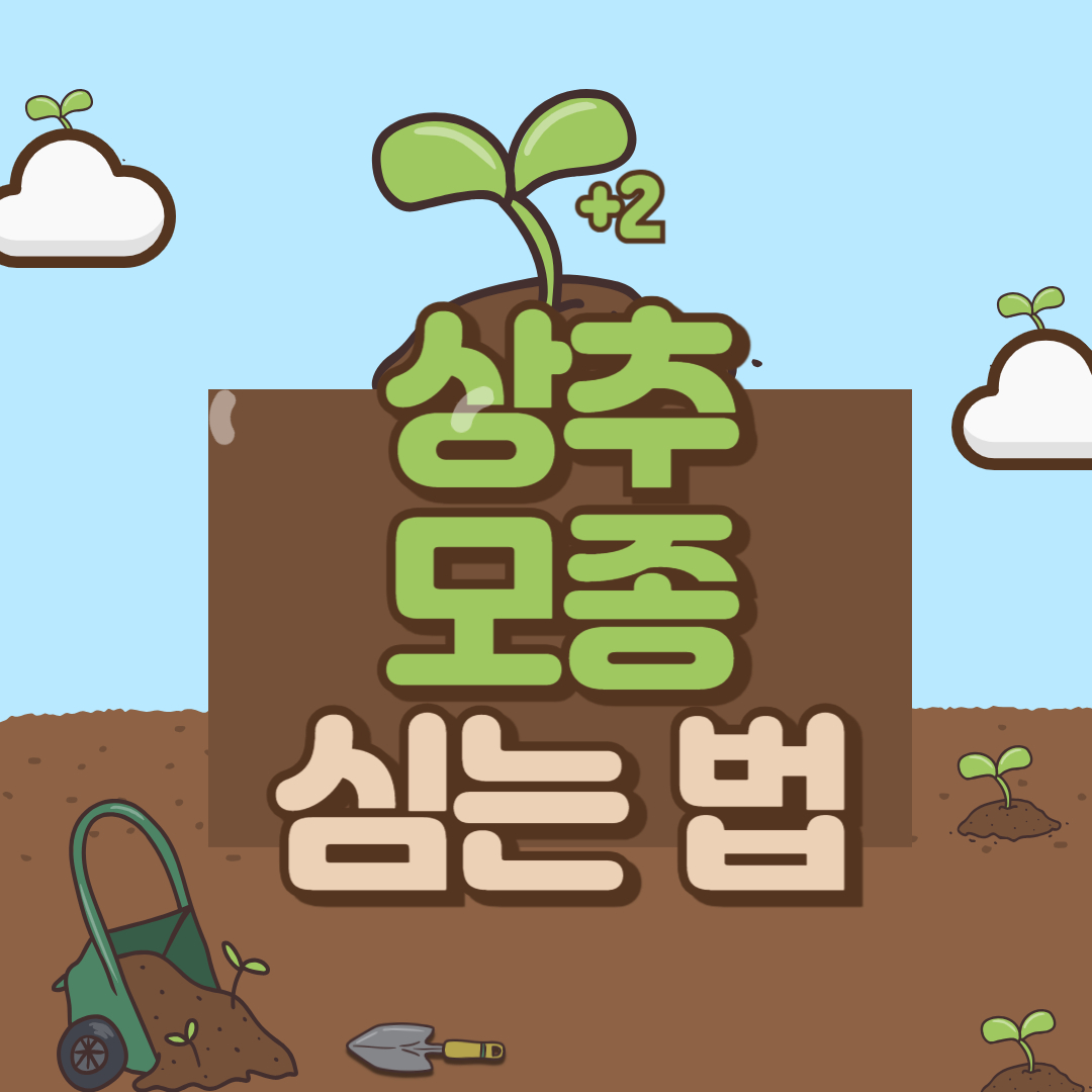 상추 모종 심는 법