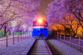 숙박세일페스타