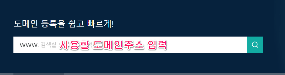 도메인주소입력