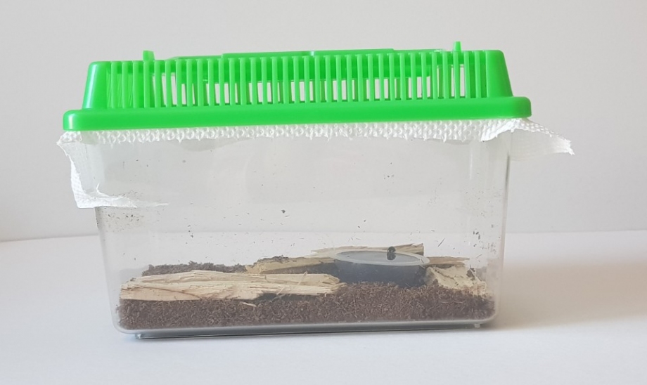 환풍이 잘되고 넓은곳을 보금자리로 해주면 좋다