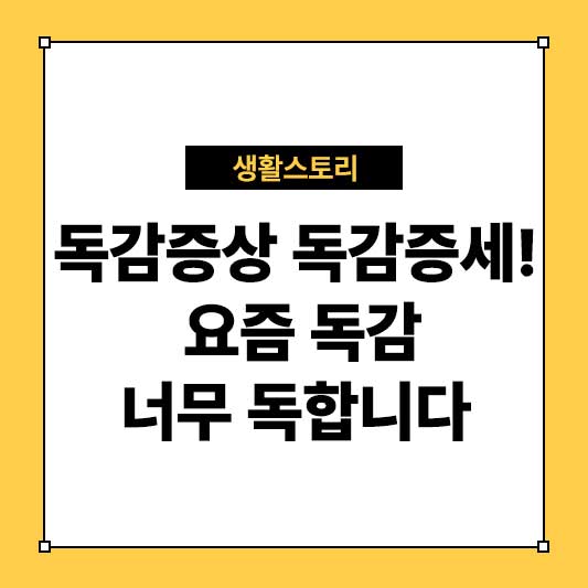 독감증상 독감증세! 요즘 독감 너무 독합니다