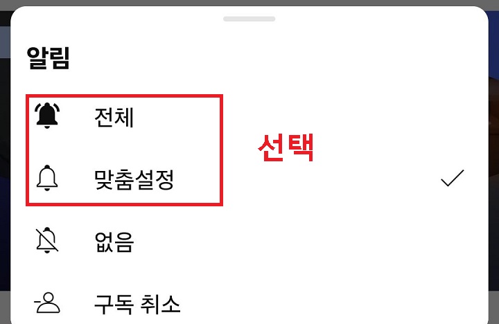 알림 설정 창 보임