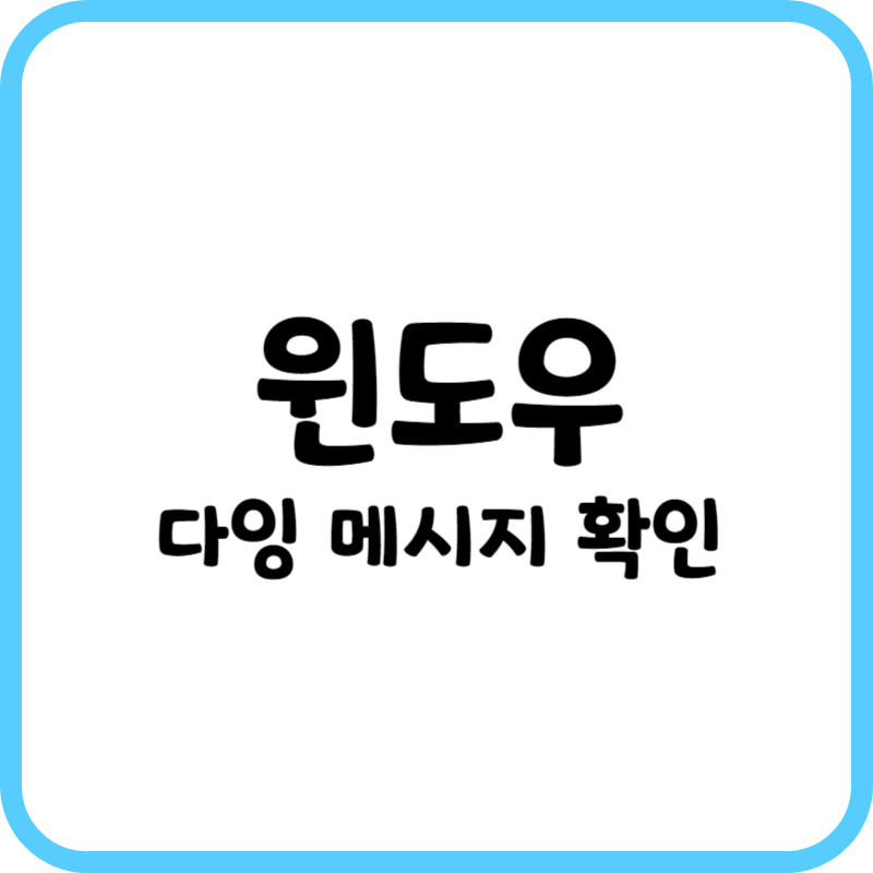 윈도우 다잉 메시지