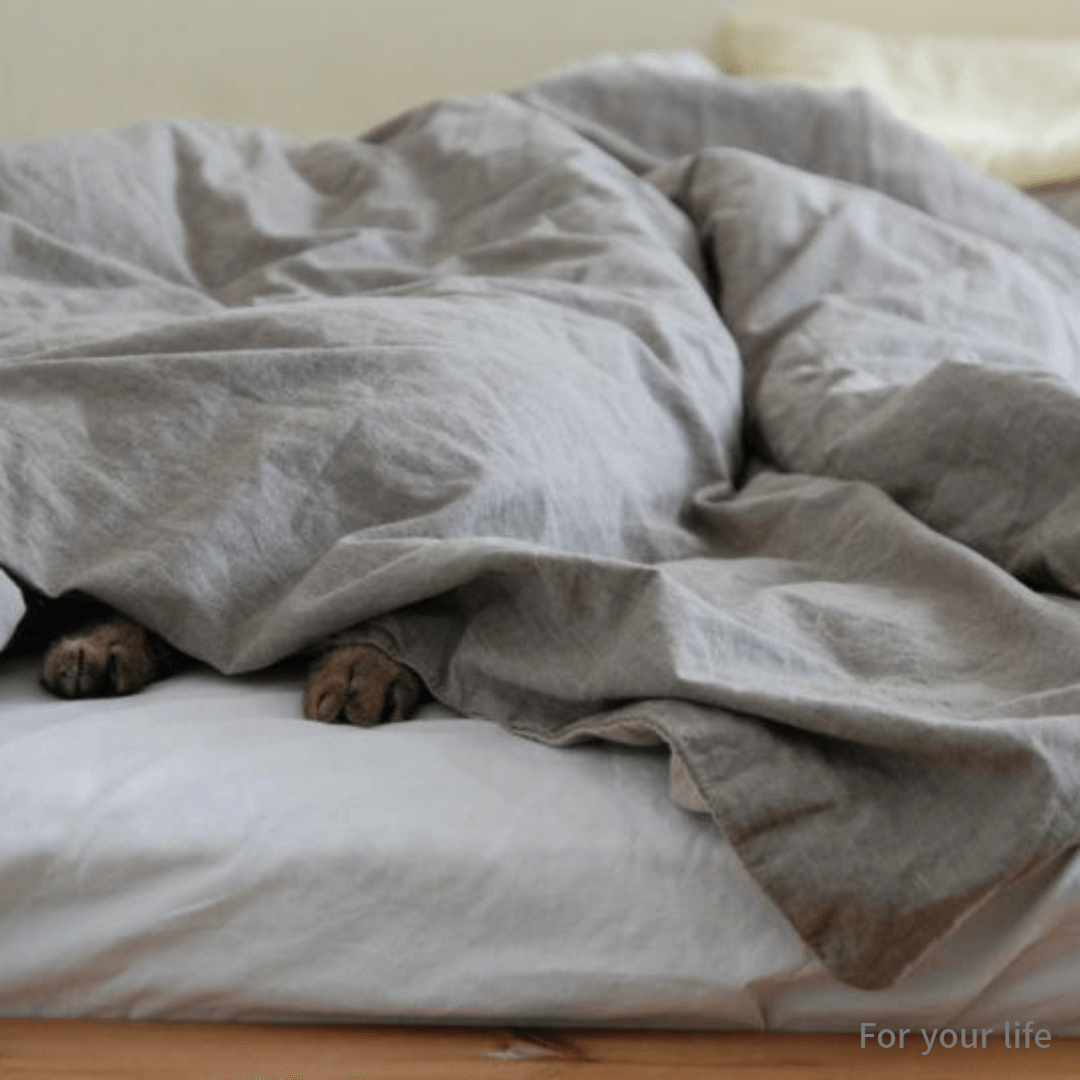 지하철에서 빈대 붙기 빈대 퇴치법 빈대 약품