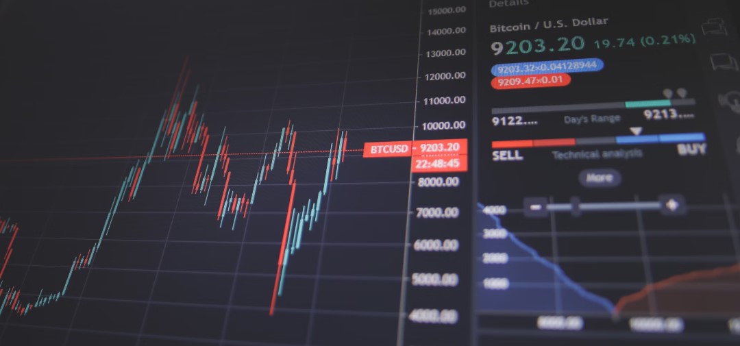 미국 지수 S&P 500, 수익률과 변동성