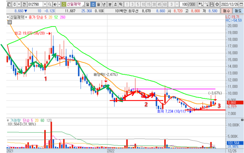 2022년 12월 28일 신일제약 주봉 차트