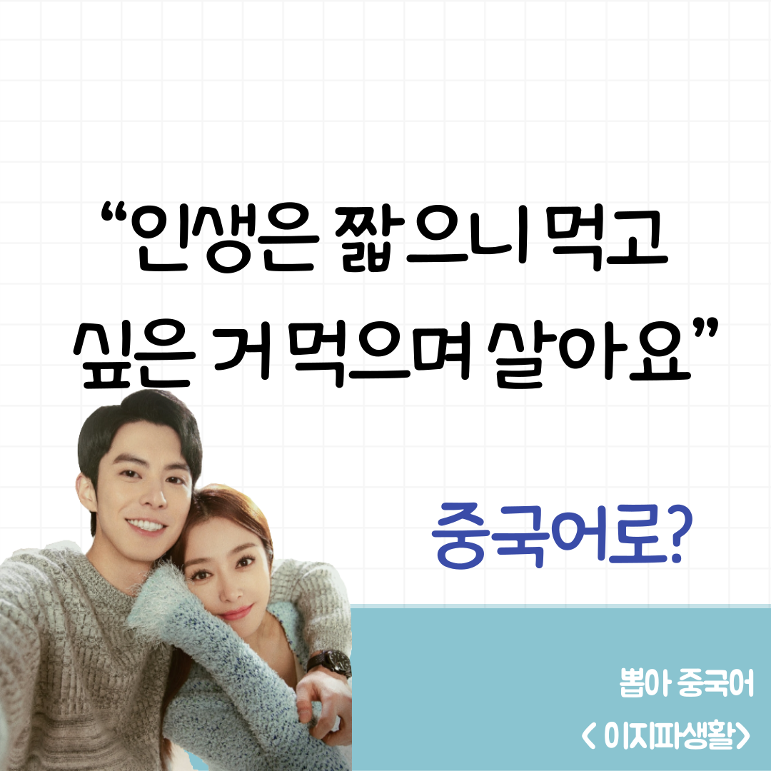 이지파생활