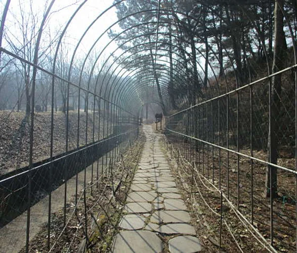 금강수목원