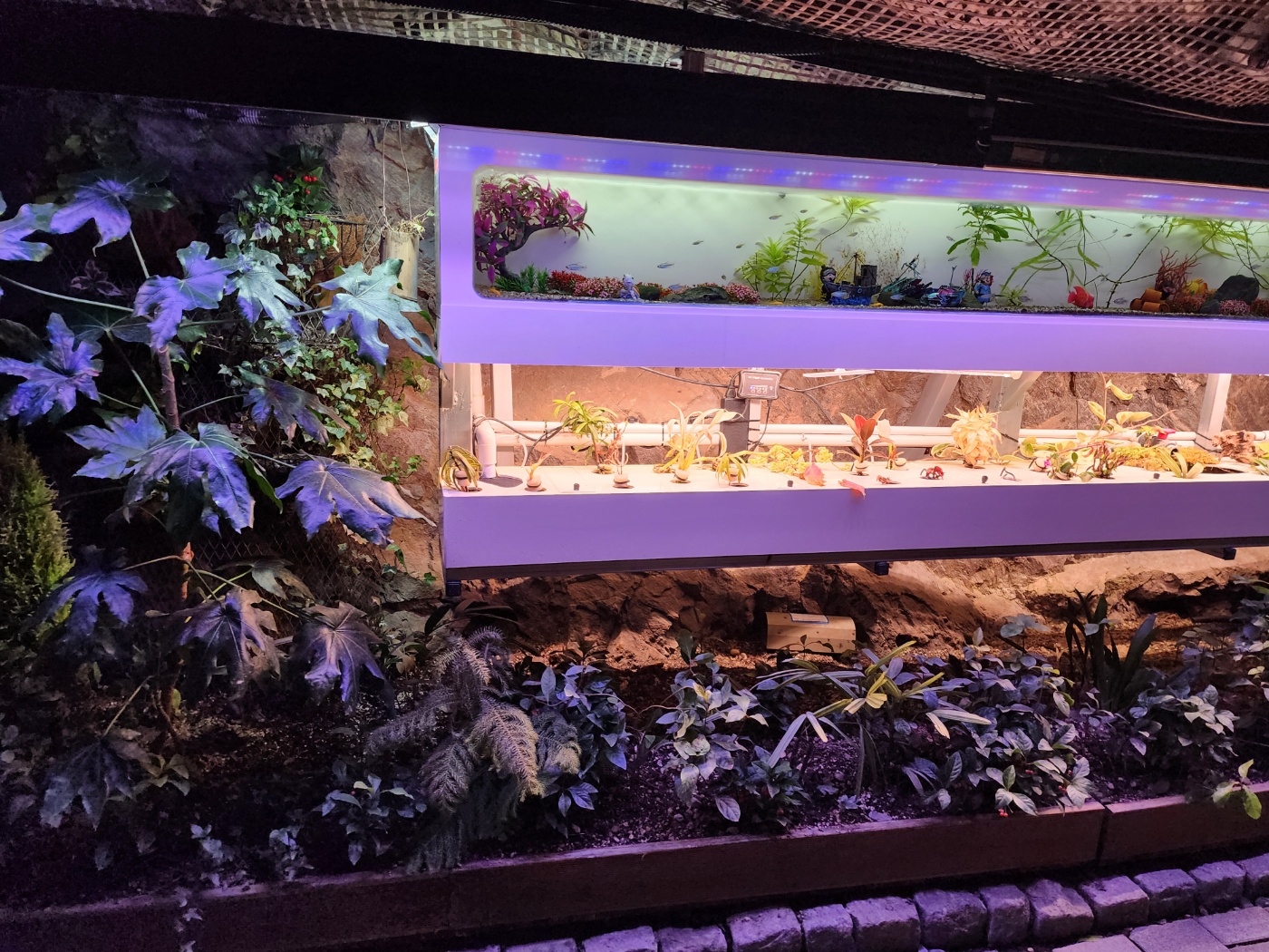 와인동굴 가는길에보이는 식물들과 물고기