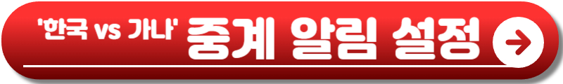 한국 가나 축구 평가전