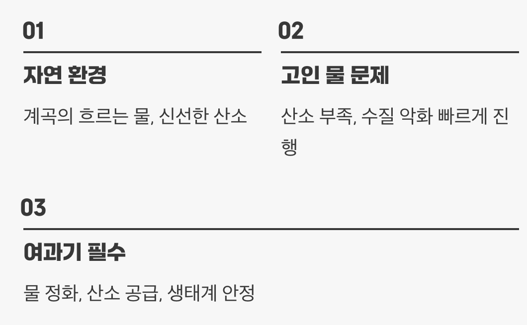 실수 다섯 : 흐르는 물을 잊은 고인 물