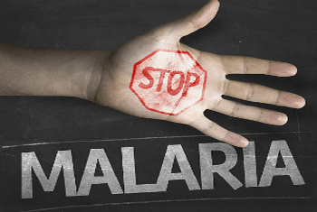 말라리아