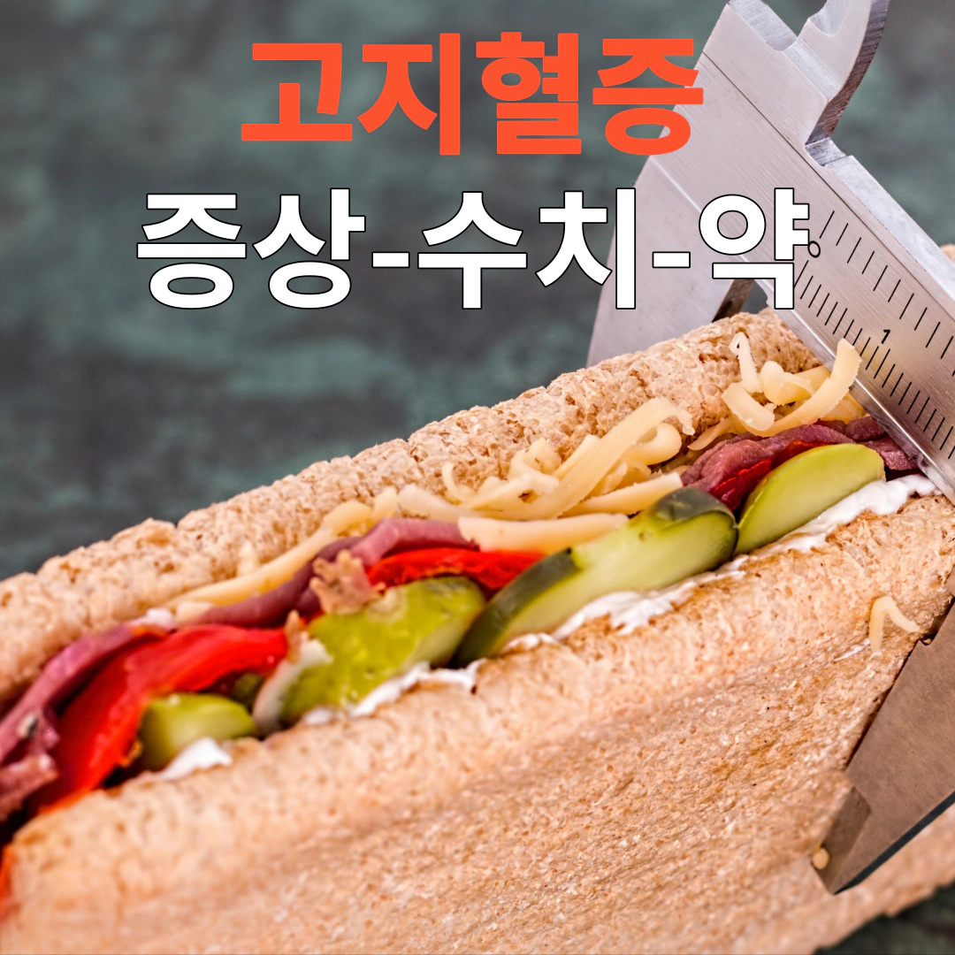 고지혈증-증상-수치-약-식이요법