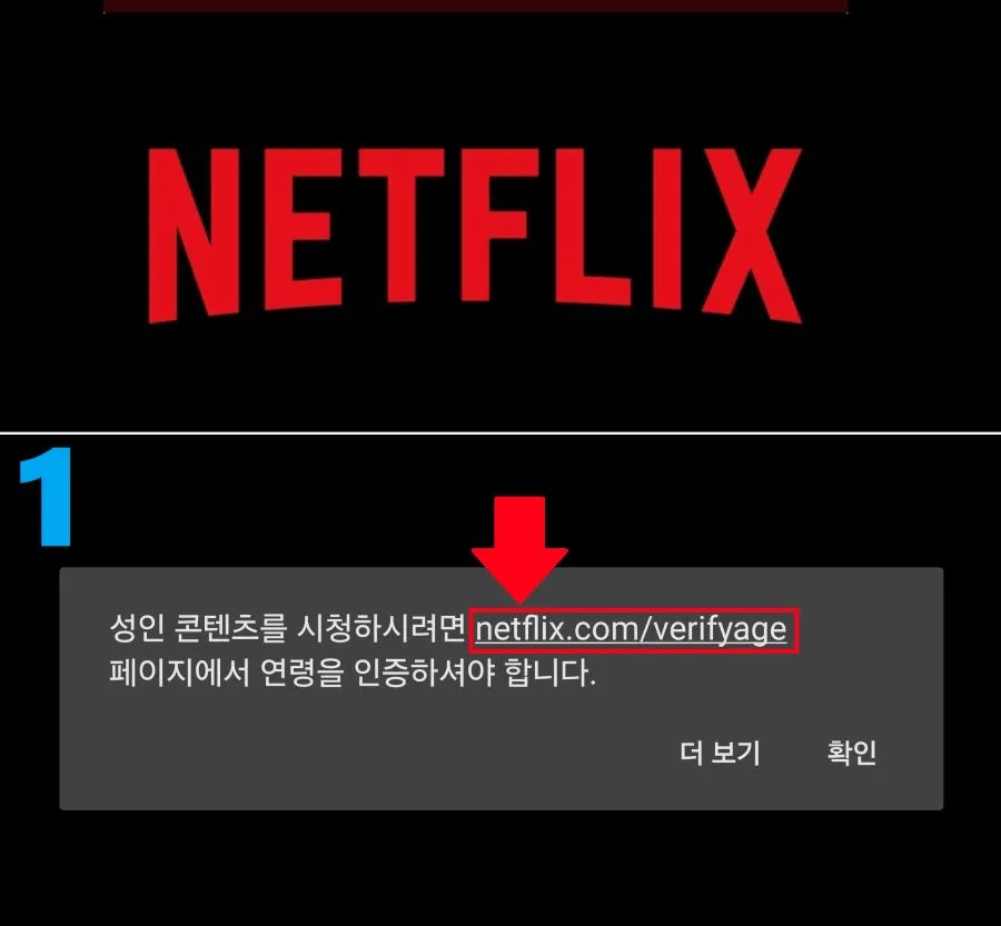 넷플릭스 성인 콘텐츠 연령 인증하기