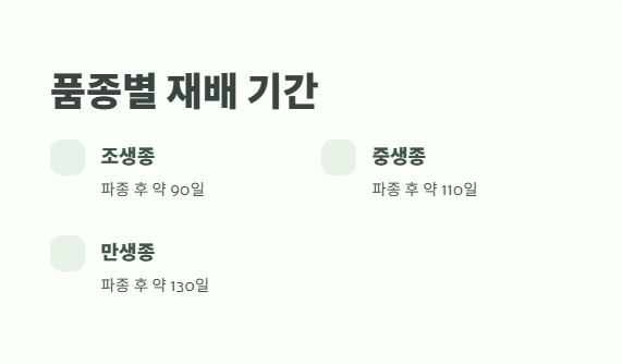 감자 수확시기 타이밍과 방법 1