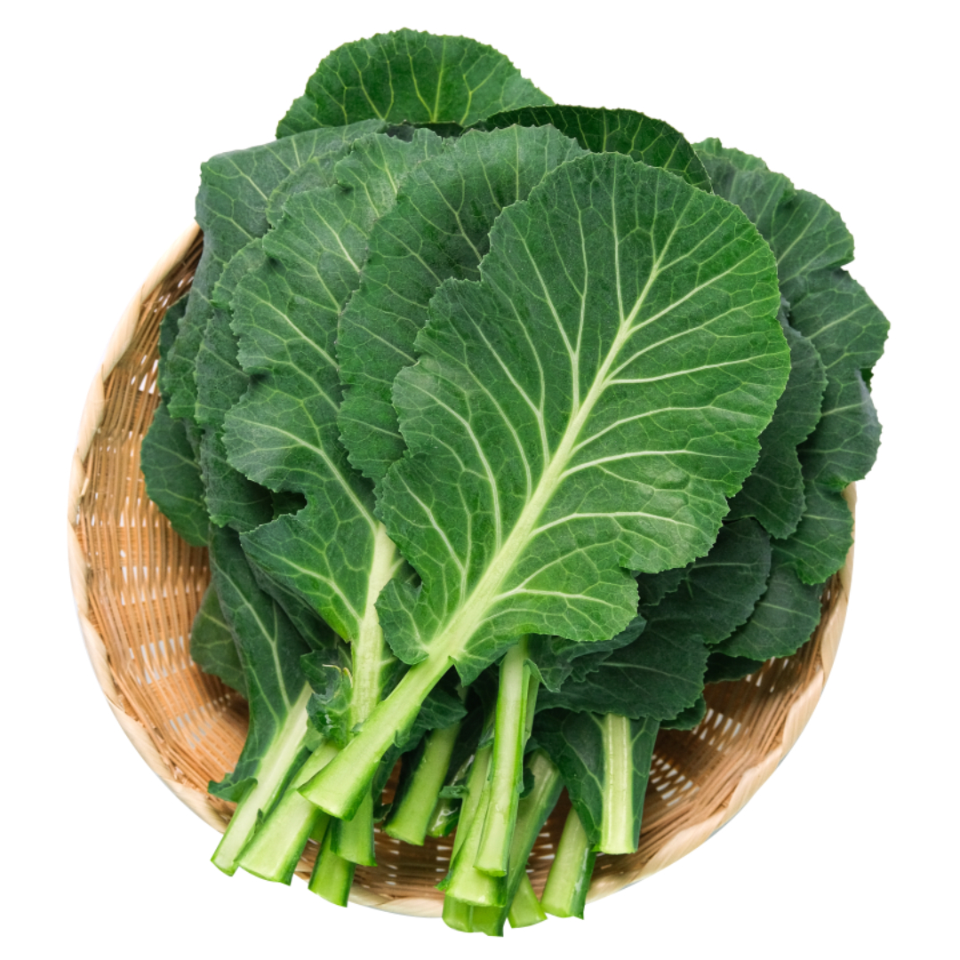 마그네슘과 관련된 사진입니다.