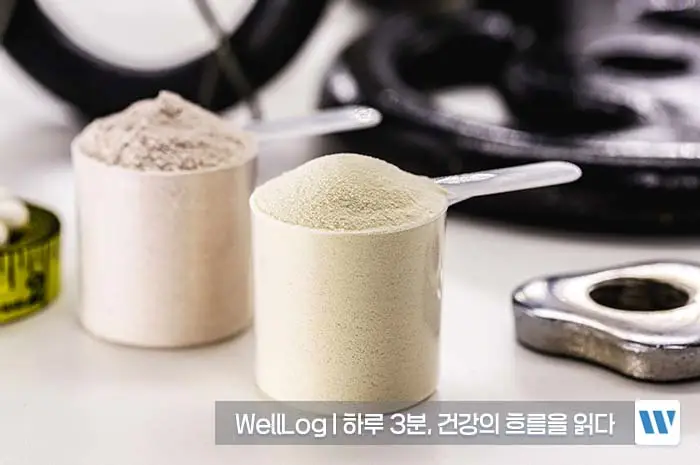 알부민 수치저하 부족증상 부작용 복용법