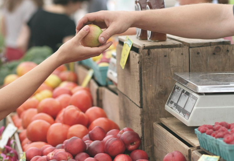 농식품 바우처 신청 자격, 방법, 지원금