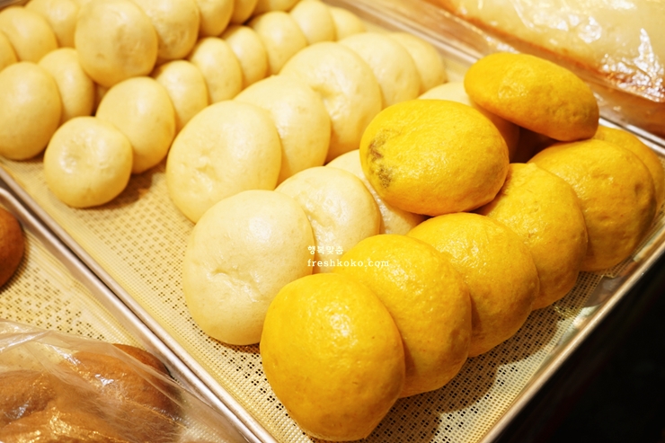 제주도 여행코스 2박 3일