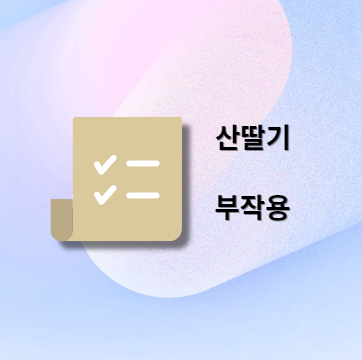 산딸기 부작용 및 주의사항