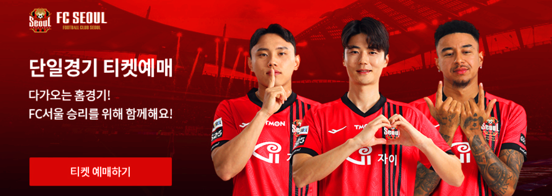 서울 FC 축구 경기 티켓예매