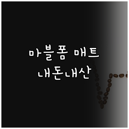 내돈내산 후기 허리디스크에 좋은 마블