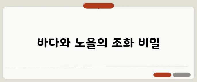 대천해수욕장 국민여가캠핑장, 바다를 걷고 노을을 만나는 법