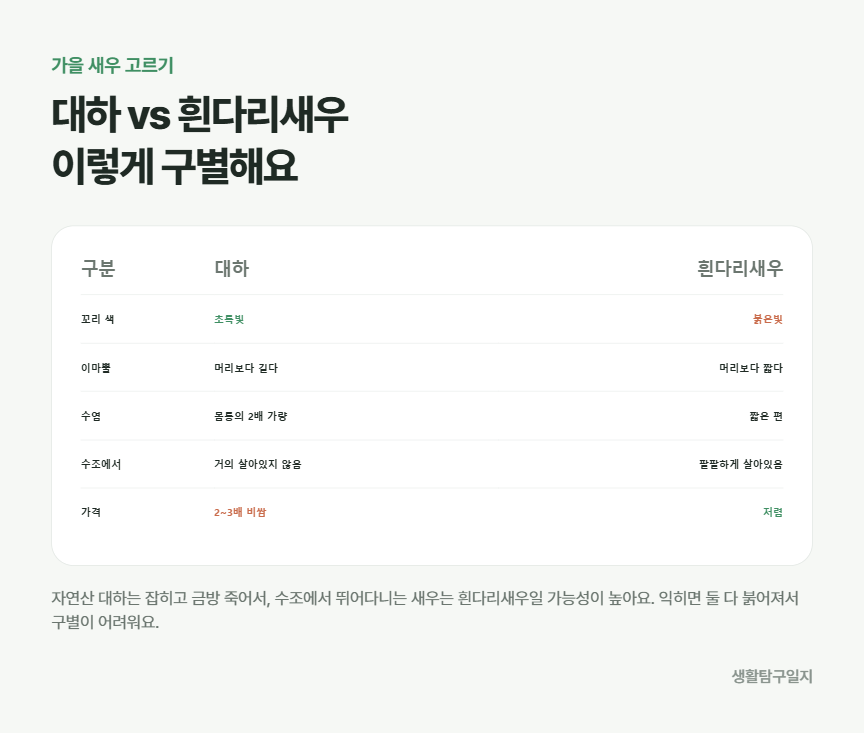 대하와 흰다리새우 구별법