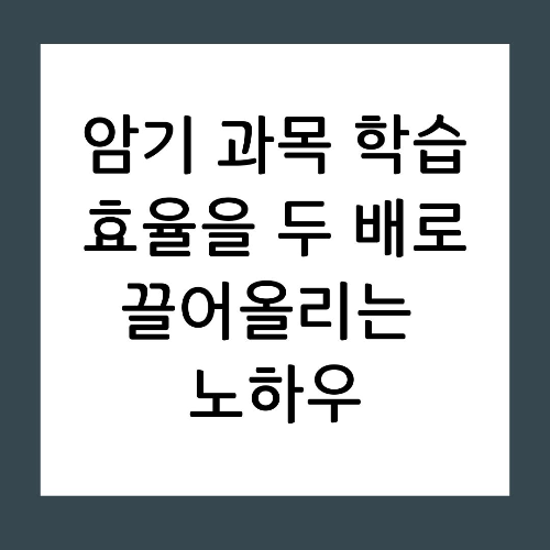 암기 과목 학습 효율을 두 배로 끌어올리는 노하우