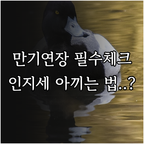 기업은행 마이너스통장 만기 연장 인지..