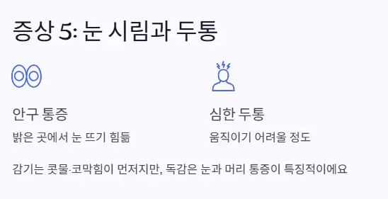 눈시림 두통