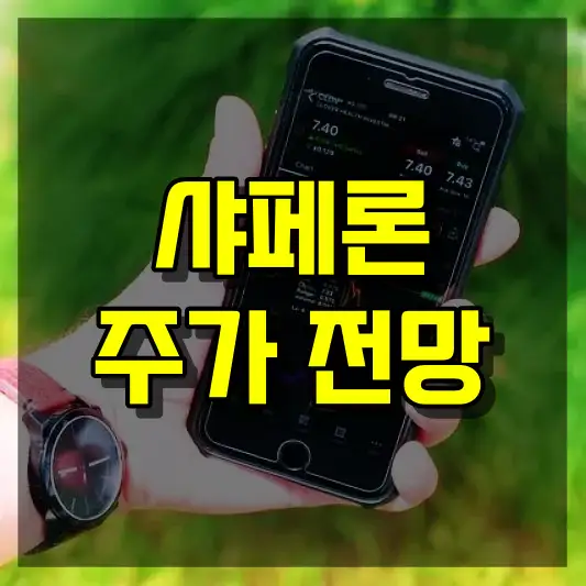 샤페론 주가 전망