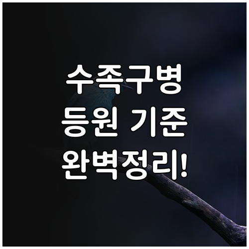 수족구병 격리 기간과 완치 판정 등원..