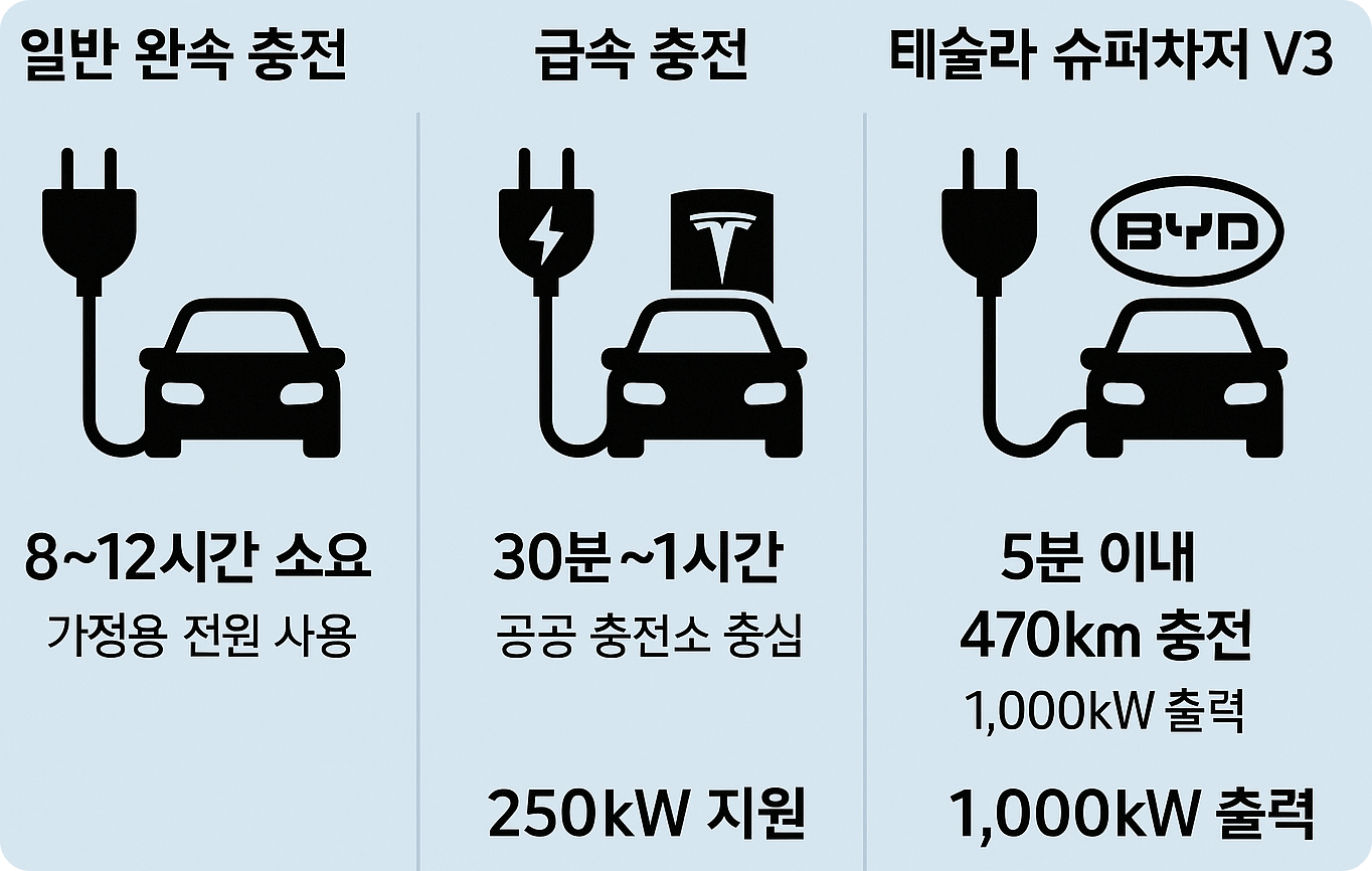 일반적인_텍스트_인포그래픽_이미지_한글표현