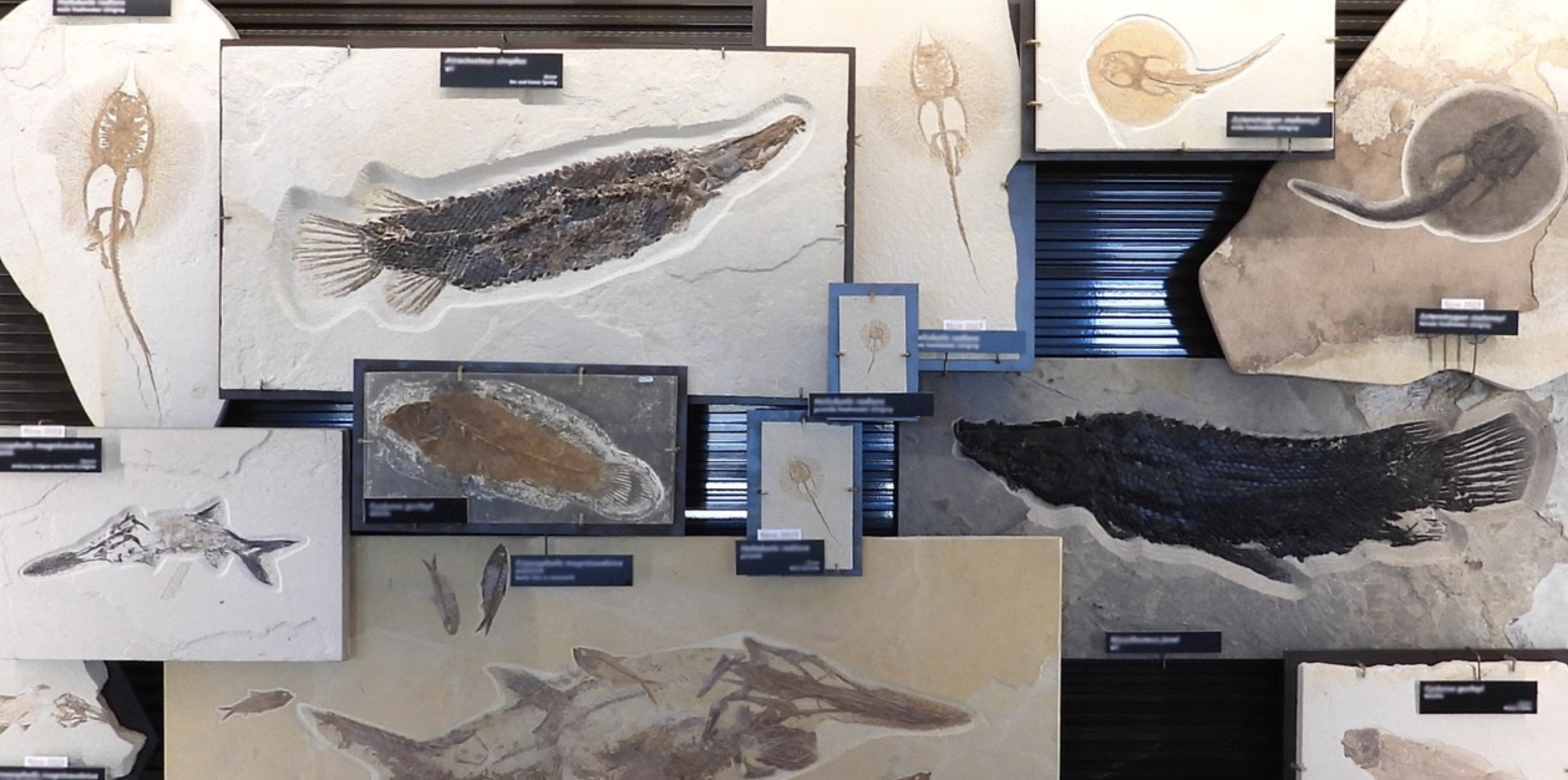 와이오밍주의 숨은 명소 관련 사진